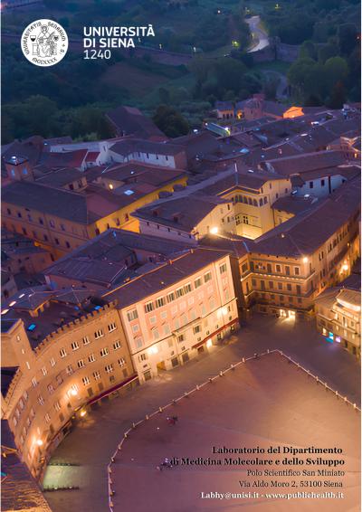 contatti